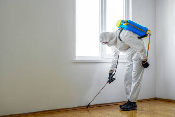 Best Pest Prevention Services  in Kdeer, IL